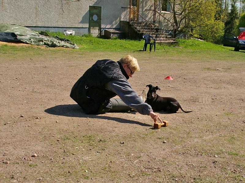 Leiri (31).jpg
